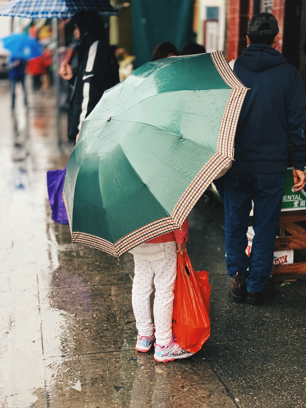 person holding green umbrella