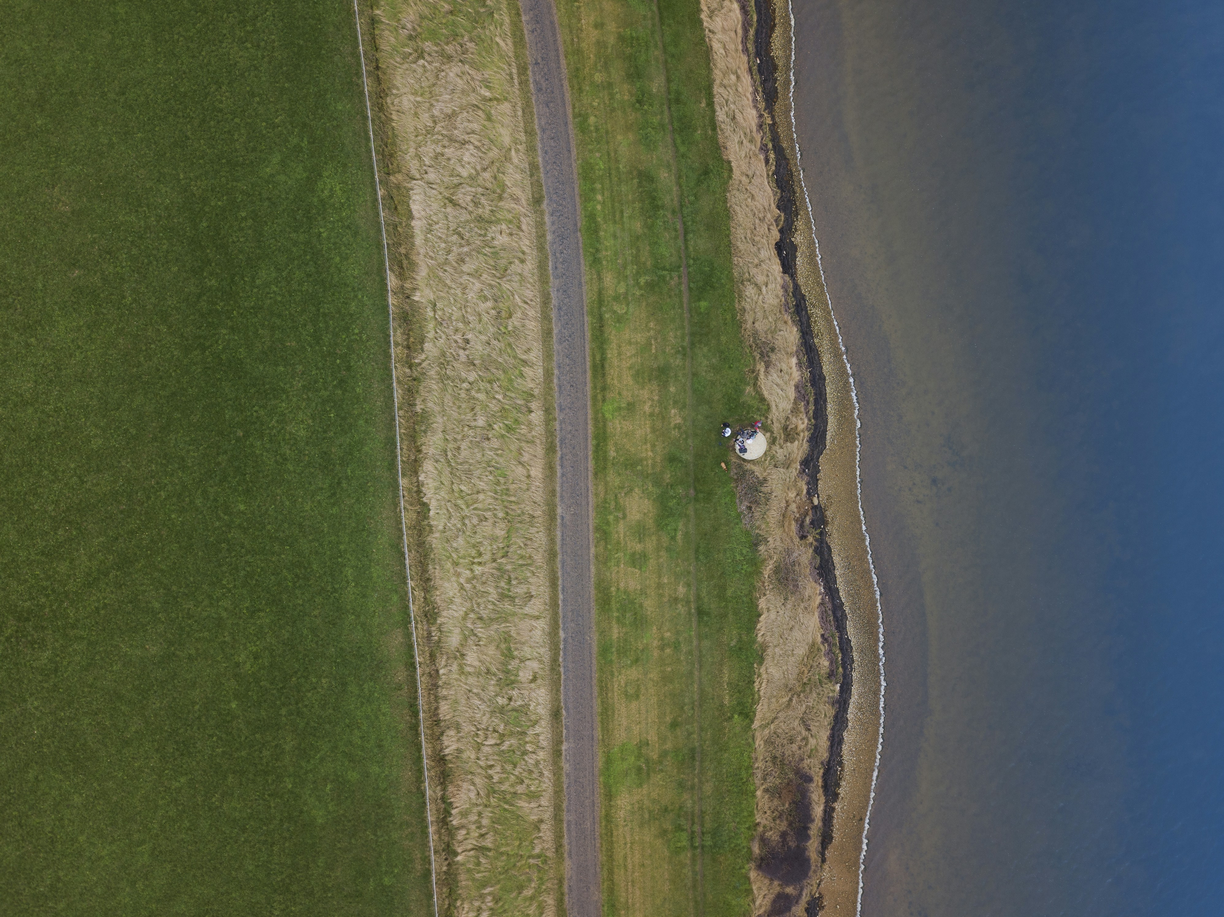 aerial photography of road in between field and shore