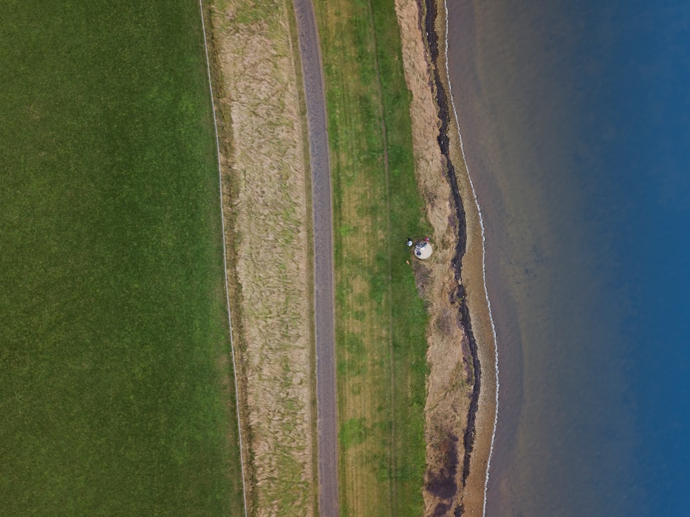 aerial photography of road in between field and shore
