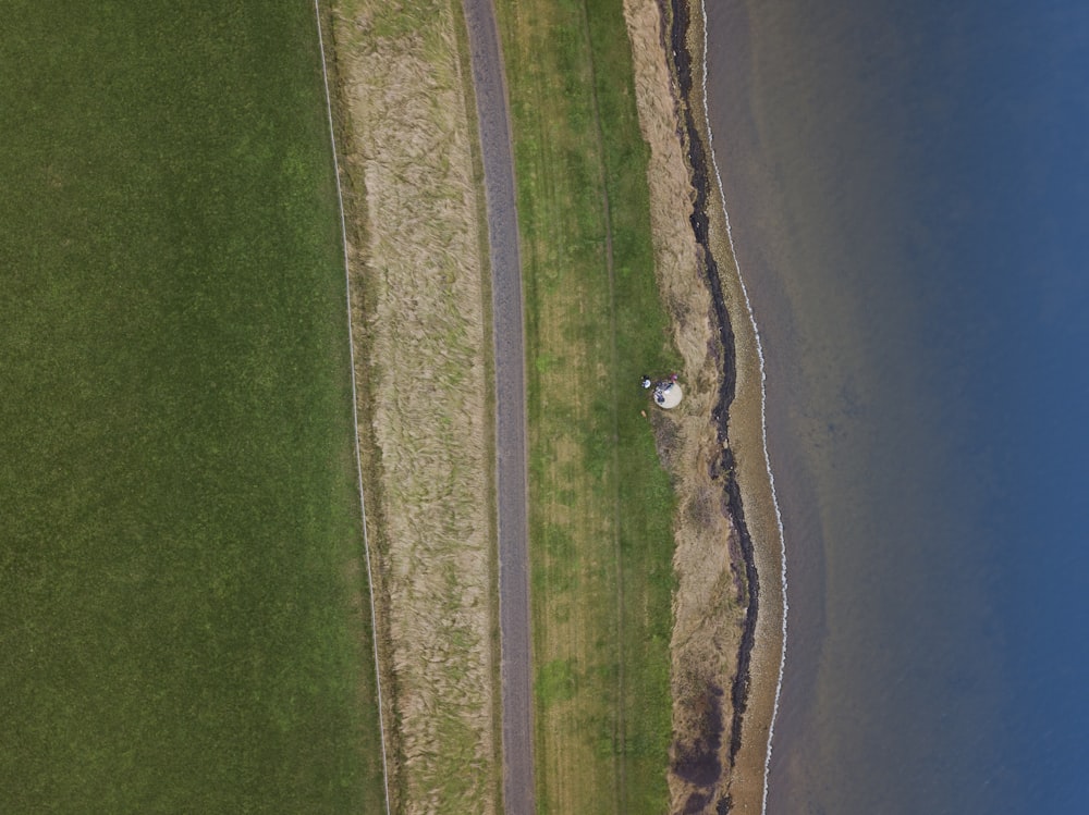 aerial photography of road in between field and shore