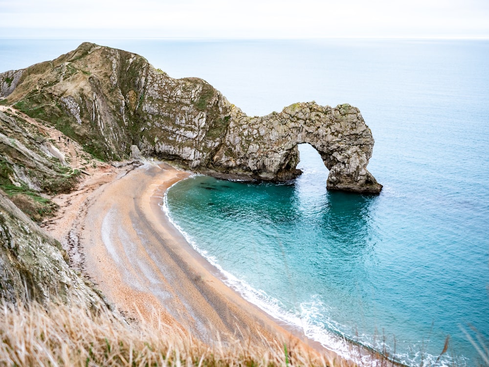 dinosaur shaped rock formation beside sea