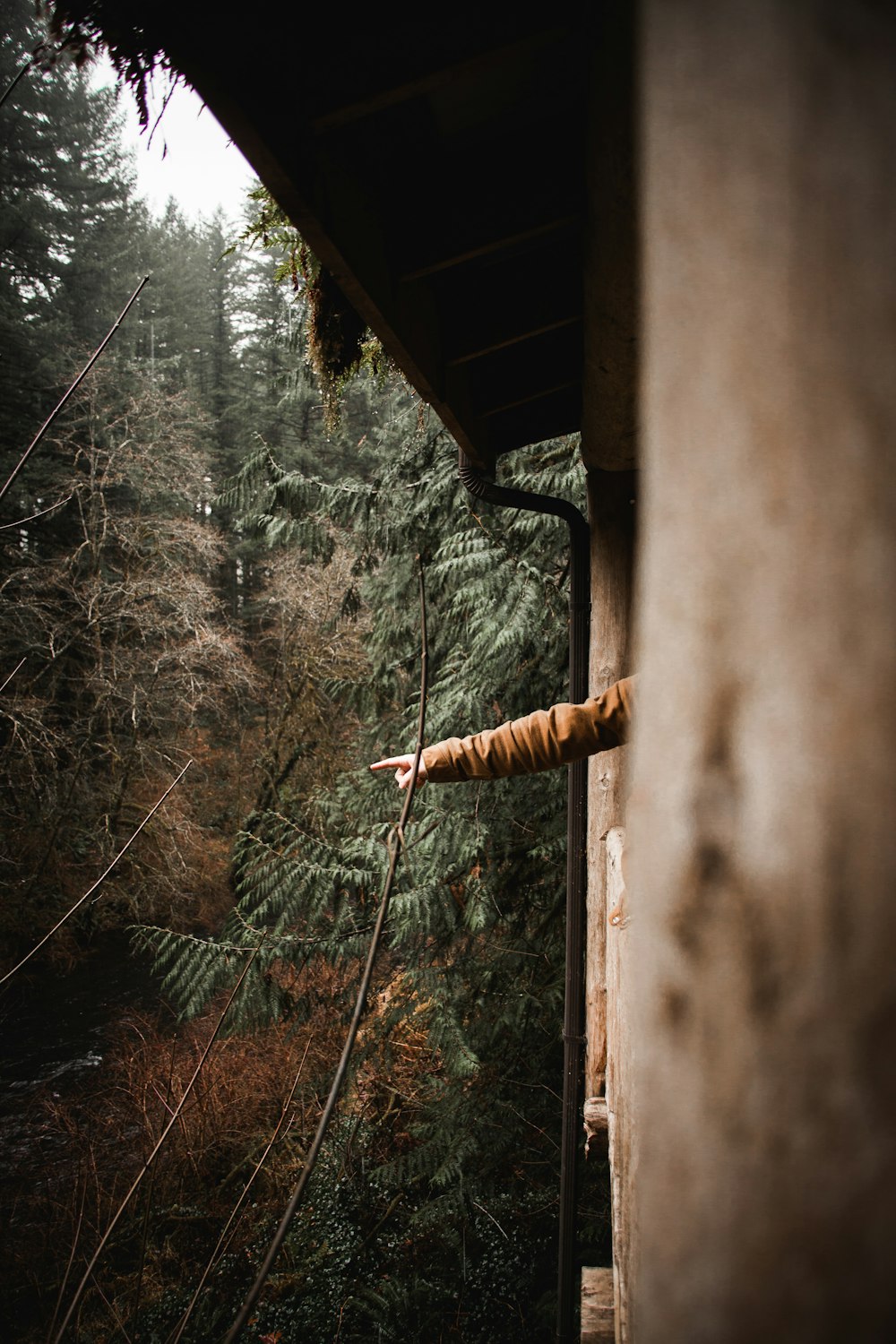 person in brown jacket pointing of window