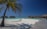 A serene tropical beach setting featuring a large palm tree on white sandy shores, overwater bungalows in the background, and a wooden walkway leading to the bungalows. The sky is clear and blue, and the ocean appears calm with a turquoise hue.