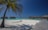 A serene tropical beach setting featuring a large palm tree on white sandy shores, overwater bungalows in the background, and a wooden walkway leading to the bungalows. The sky is clear and blue, and the ocean appears calm with a turquoise hue.