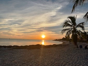 A serene beach setting at sunset with soft golden hues reflecting on the calm waters. Silhouettes of palm trees line the shore, adding a tropical feel. The sky is partially cloudy, creating a picturesque view as the sun descends towards the horizon.