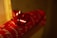 A close-up of a red gift box wrapped in red wrapping paper with white cursive writing. The box is adorned with a shiny red bow on top. The background is dimly lit, creating a warm and cozy atmosphere.