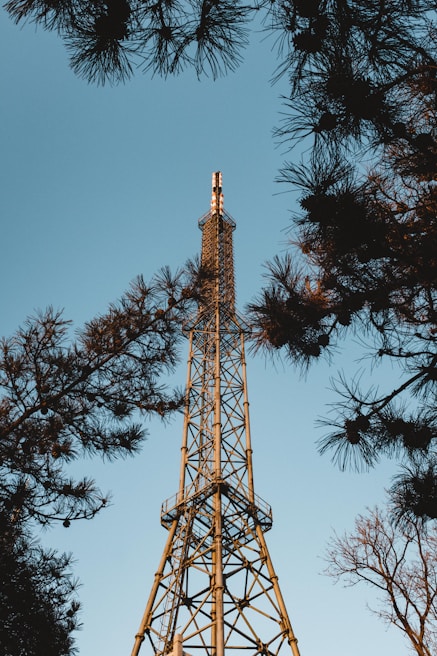 A tall metal transmission tower rises into a clear blue sky, framed by the silhouettes of tree branches. The structure features a complex lattice design, indicative of its function in supporting communication or power lines.