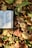 A book with printed text in a non-Latin script lies open on a bed of fallen leaves. The leaves are in various autumn colors, including shades of brown, yellow, and green. The sunlight casts shadows and highlights the texture of the leaves.