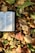 A book with printed text in a non-Latin script lies open on a bed of fallen leaves. The leaves are in various autumn colors, including shades of brown, yellow, and green. The sunlight casts shadows and highlights the texture of the leaves.