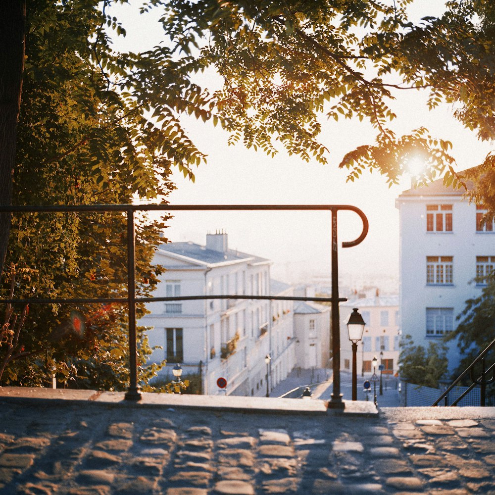 a set of steps leading to a building with a tree in the foreground