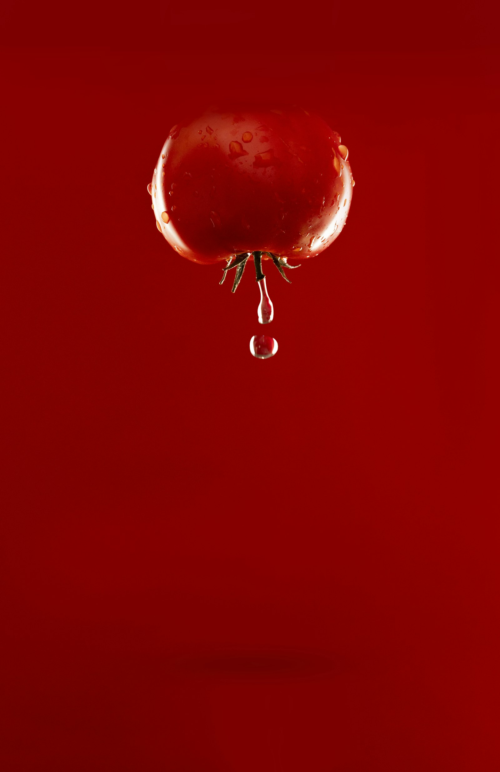 Canon EOS 6D Mark II + Canon EF 100mm F2.8L Macro IS USM sample photo. Red tomato with water photography