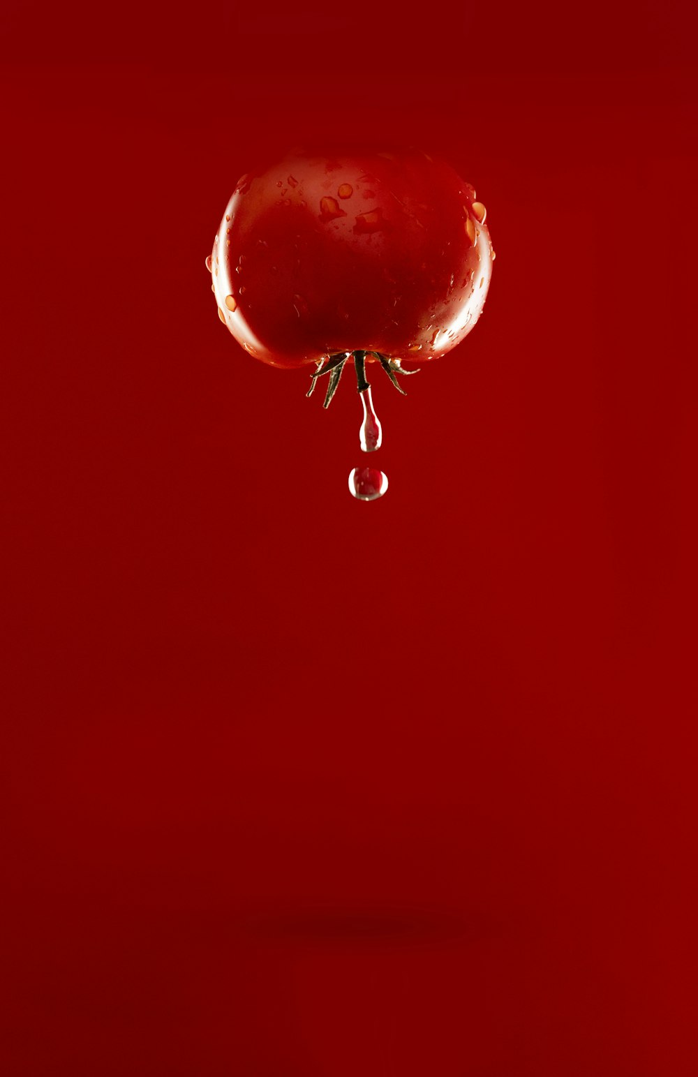 red tomato with water dew