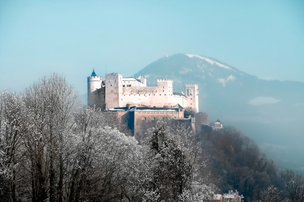 white castle on mountain