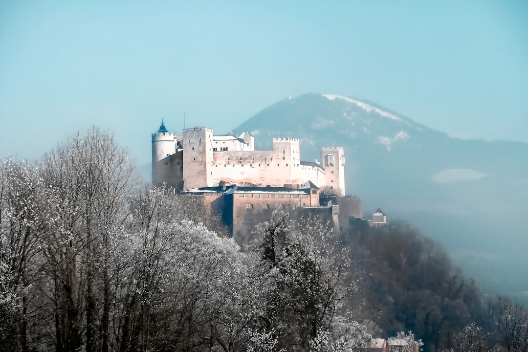 white castle on mountain, Our modern concepts of safety —<p></figure>shiny but somehow</p><p>outdated.