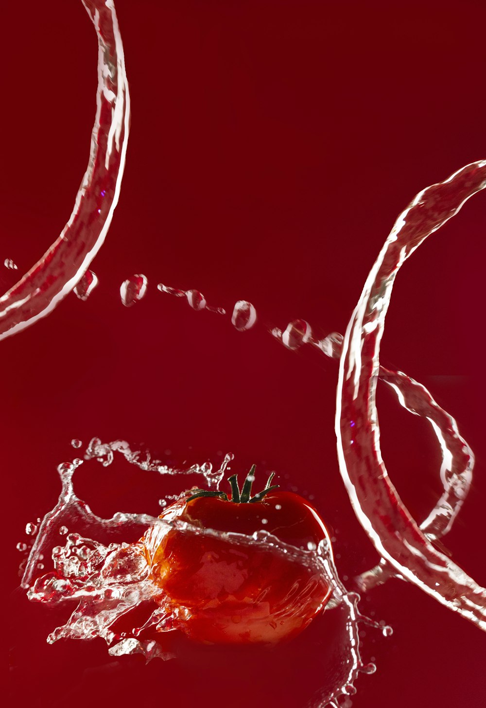 Fotografia Tomate