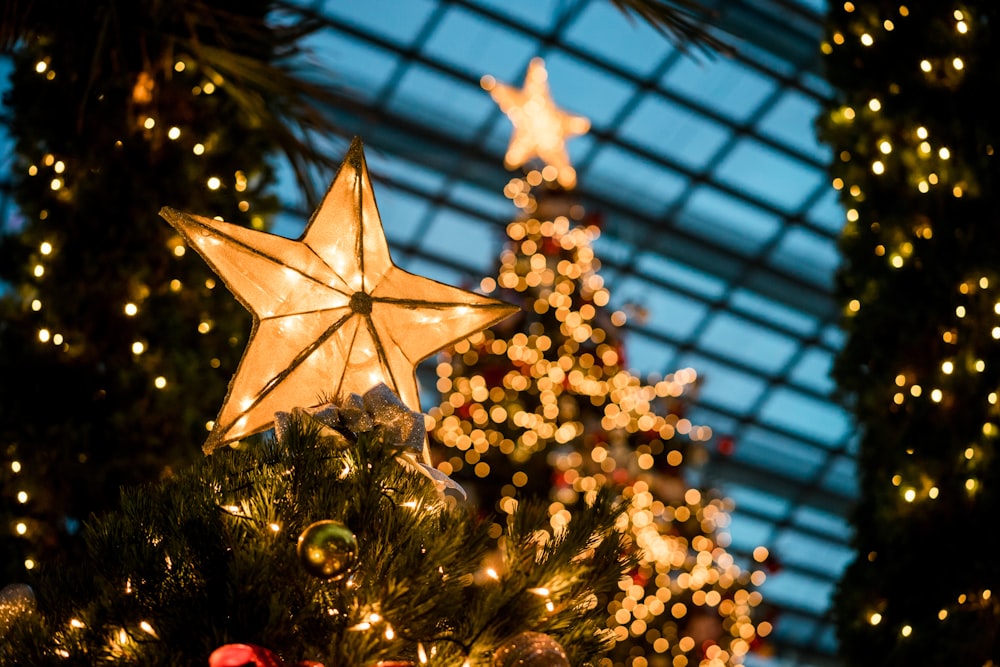 close-up photography of lighted yellow star Christmas tree topper