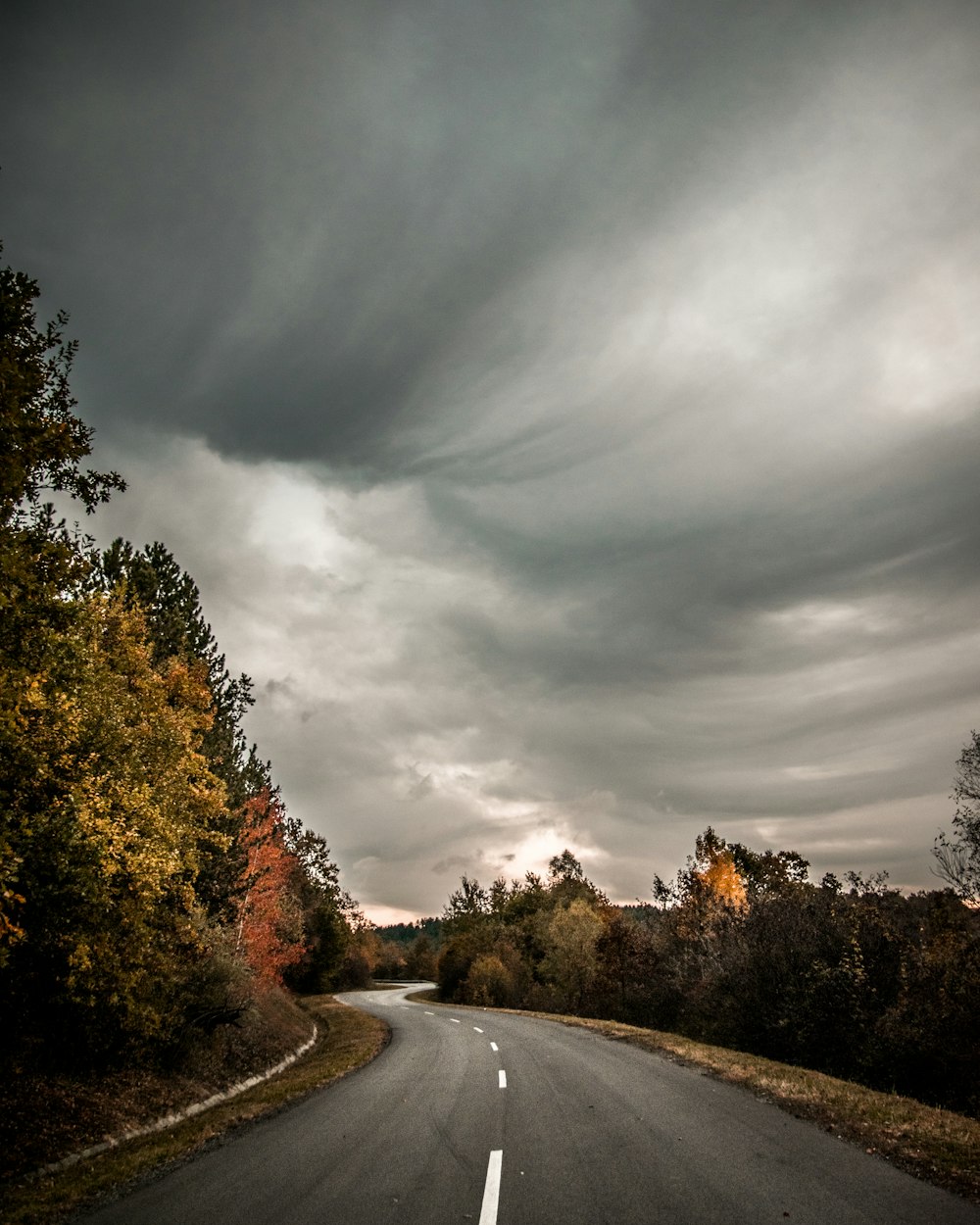 road beside green-leafed trees under gray clouds