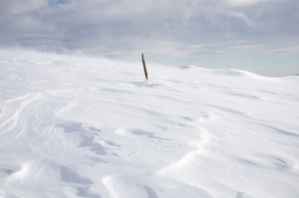 stick in snowfield