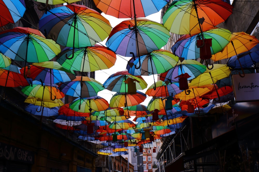 assorted-color umbrella lot