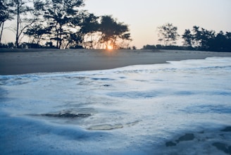 A serene beach scene with gentle waves and palm trees at sunset.