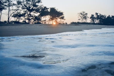 A serene beach scene with gentle waves and palm trees at sunset.