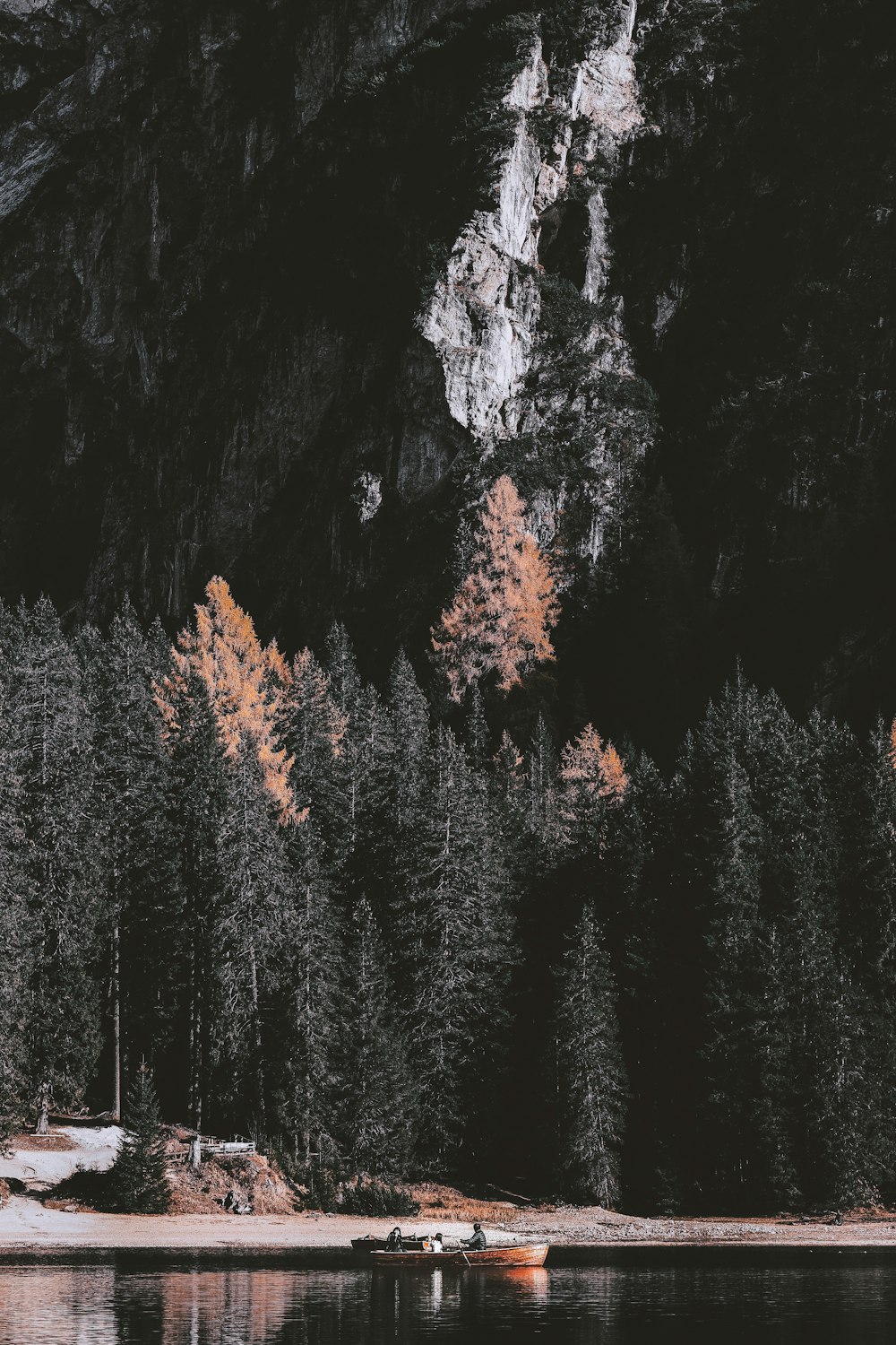 person on boat in forest