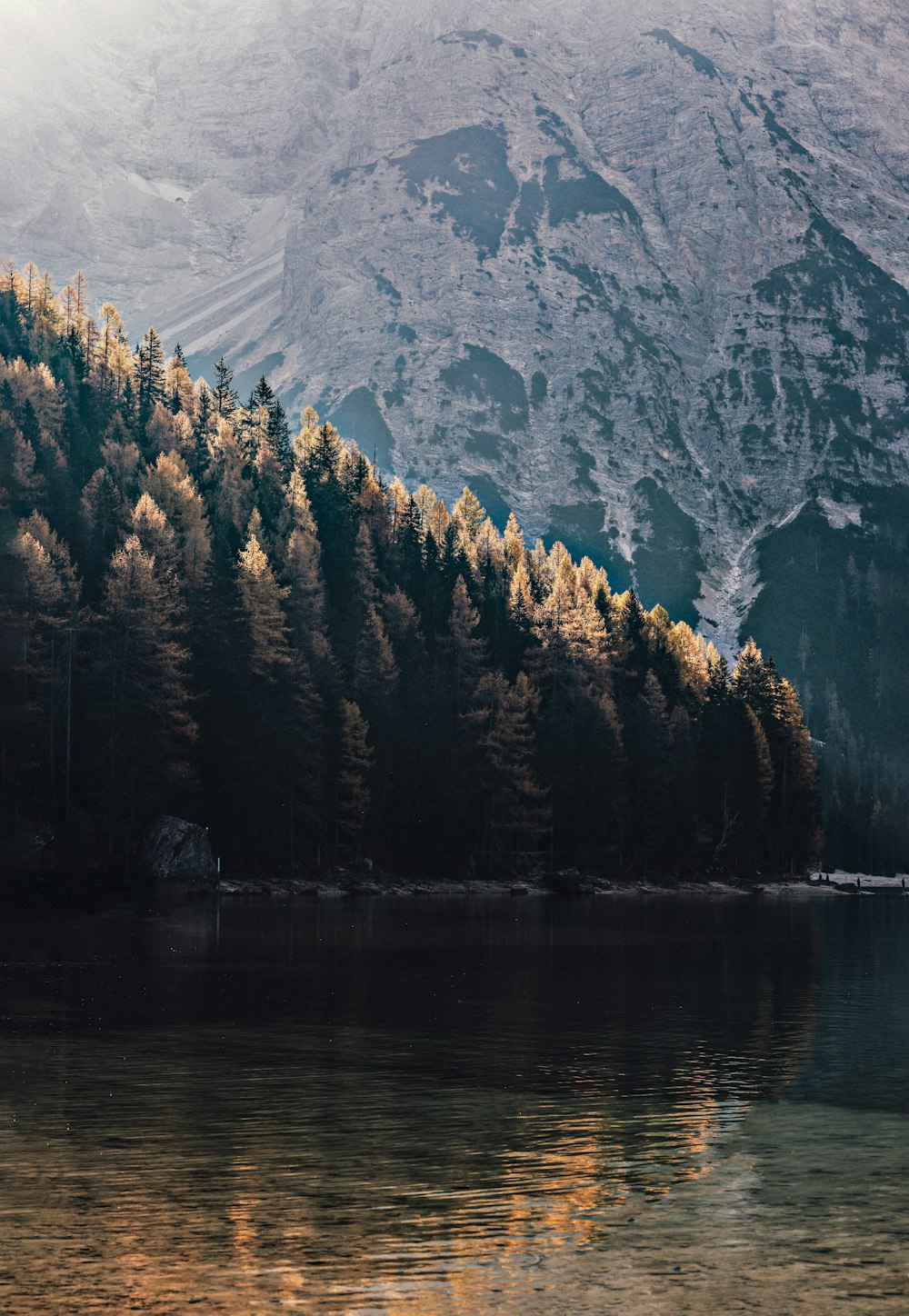 green pine trees near mountain