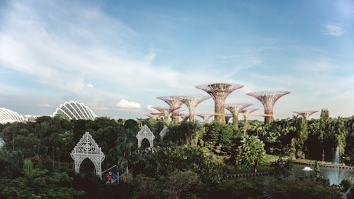 A lush garden landscape featuring large, tree-like structures with intricate lattice designs towering over the greenery. There are futuristic, dome-like conservatories in the background, and a clear blue sky overhead adds to the serene setting.