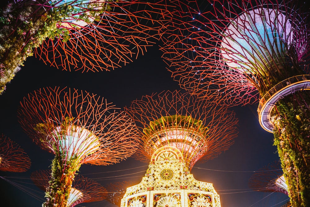 Tree Groove, Singapore