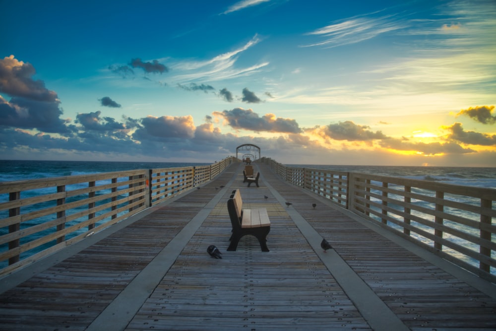 birds on bridge during sunset