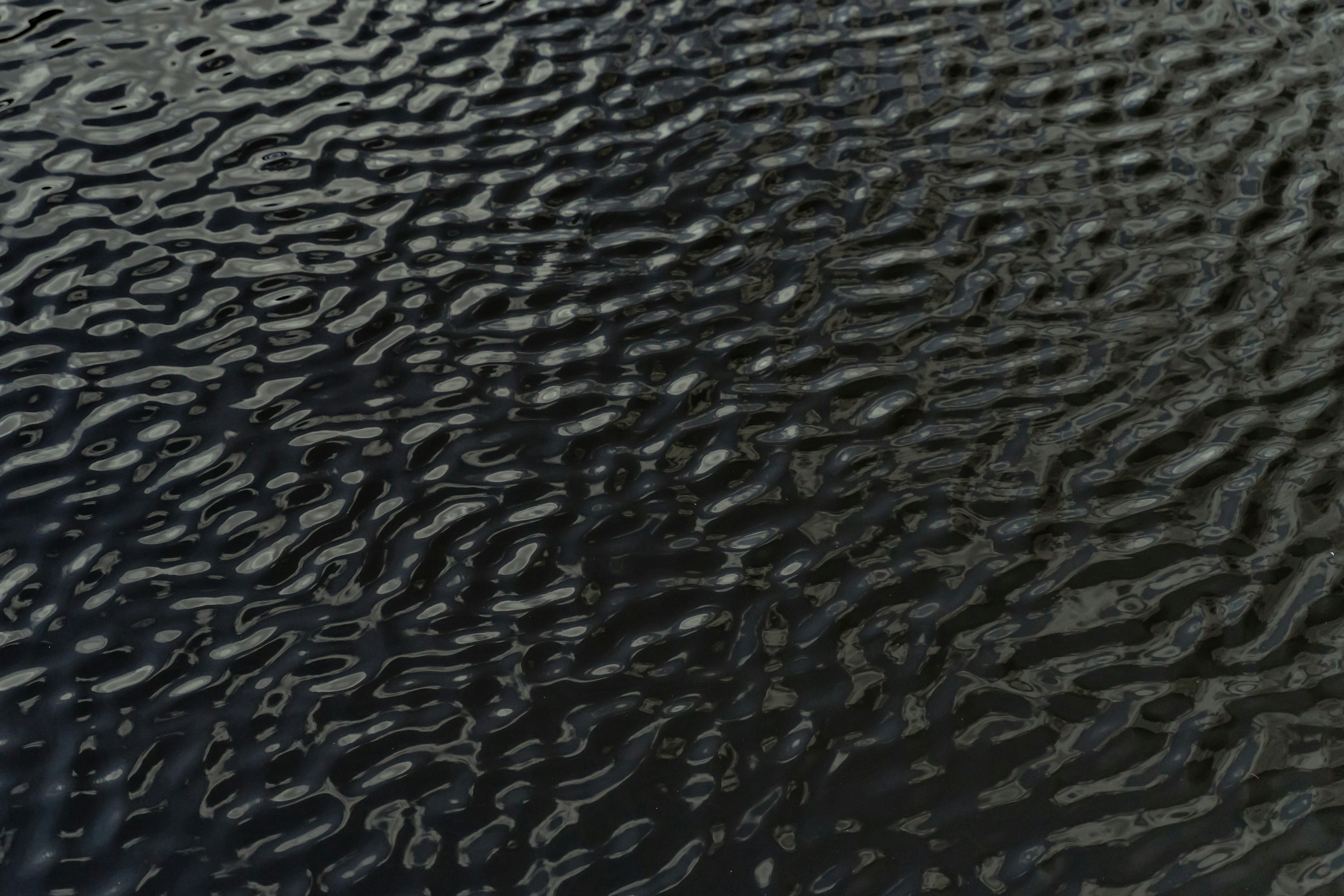 Photo by alphawolff75