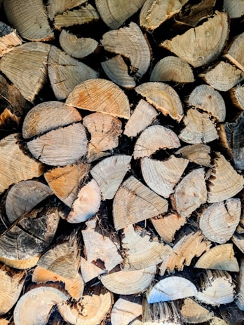 A stack of wooden logs cut into cylindrical shapes, showcasing the circular patterns of tree rings. The logs vary in size and are tightly packed together, revealing a natural texture and earthy tones.