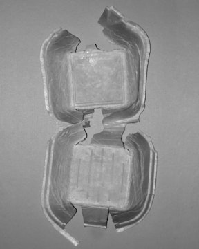 A torn or broken paper or cardboard packaging material, lying flat against a neutral background. The structure of the material suggests it was originally a container or box, with segments that have been ripped at various points. The surface has visible texture indicating it is likely made from a fibrous or recycled material.