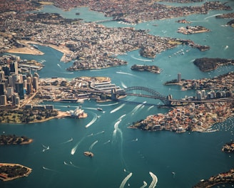 aerial photography of bridge