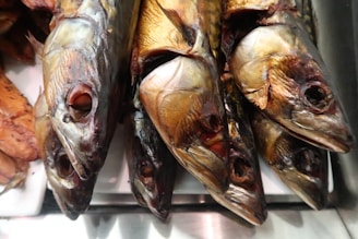 Several smoked fish heads are laid closely together, displaying their shiny, bronzed skin and open mouths. The fish appear to be arranged on a metallic surface, and the overall texture suggests a well-prepared, culinary presentation.