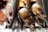 Several smoked fish heads are laid closely together, displaying their shiny, bronzed skin and open mouths. The fish appear to be arranged on a metallic surface, and the overall texture suggests a well-prepared, culinary presentation.