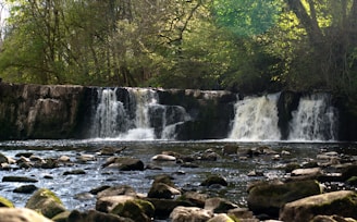 A serene natural landscape featuring a waterfall cascading over rocky ledges, surrounded by lush green trees and vegetation. The water flows into a calm river with stones scattered across the surface, creating a peaceful and tranquil atmosphere.