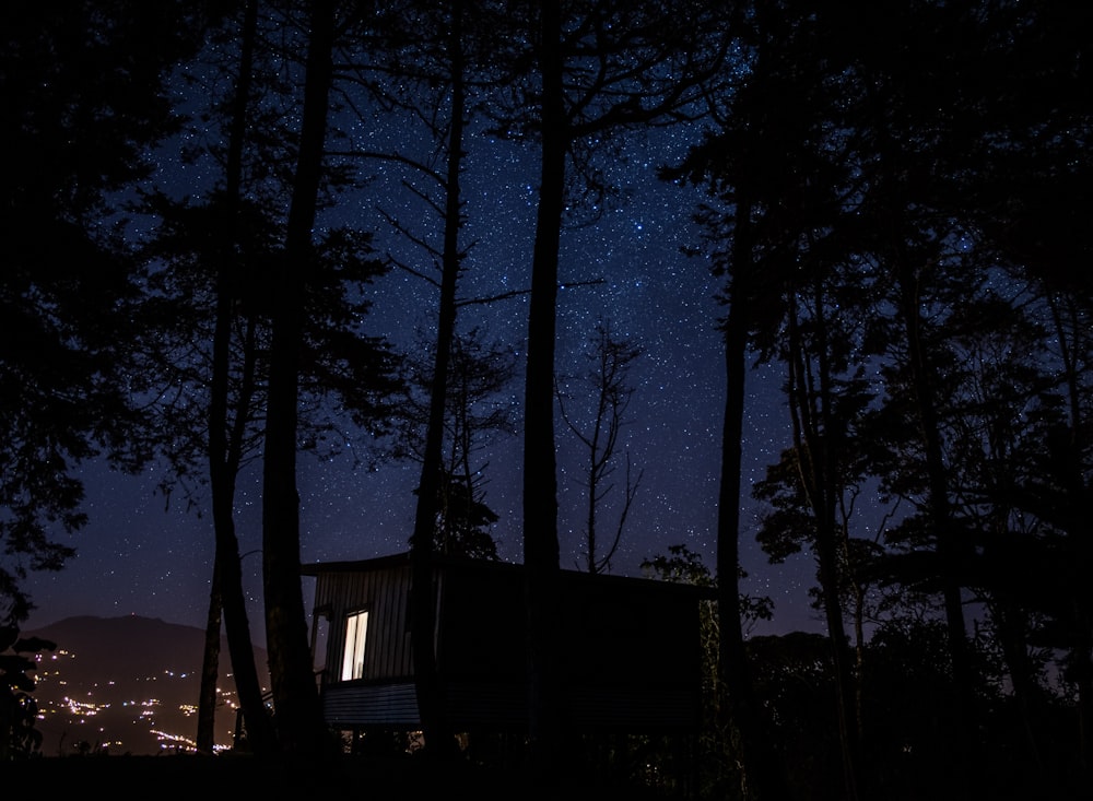 brown house surrounded by trees during nighttime \