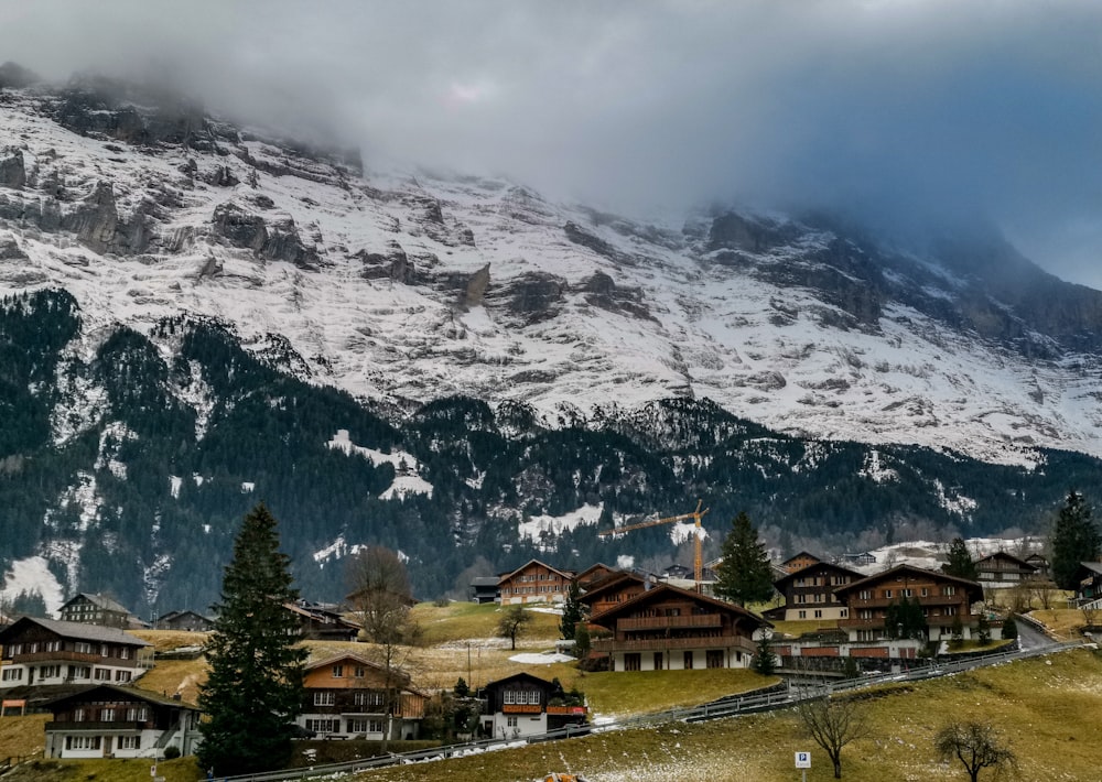 brown houses on mountain foot