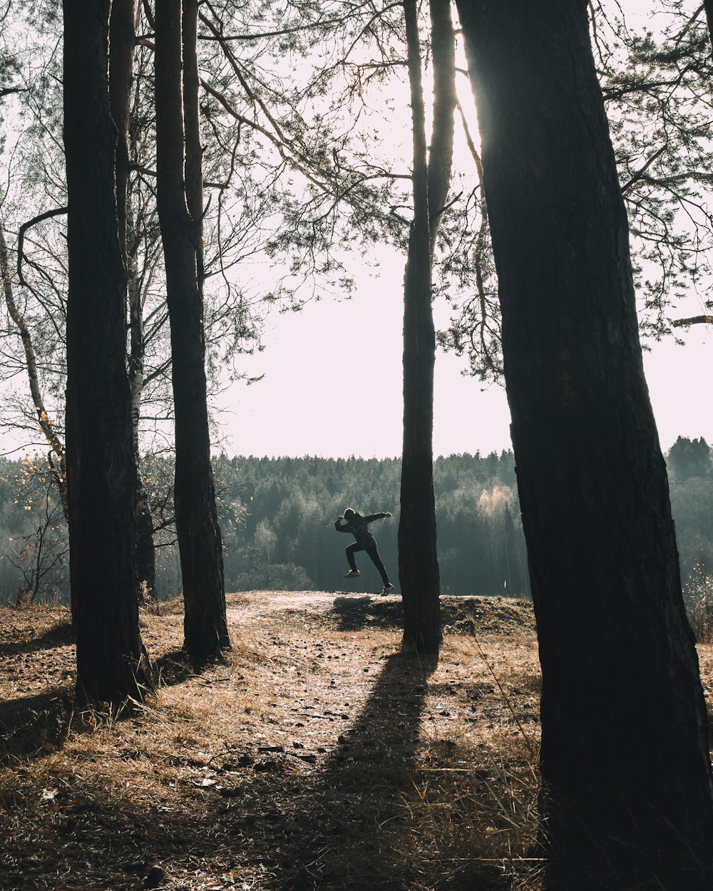 uomo che salta vicino agli alberi