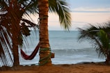 Sunset view over a sandy beach with gentle waves and a hammock tied between two palm trees.