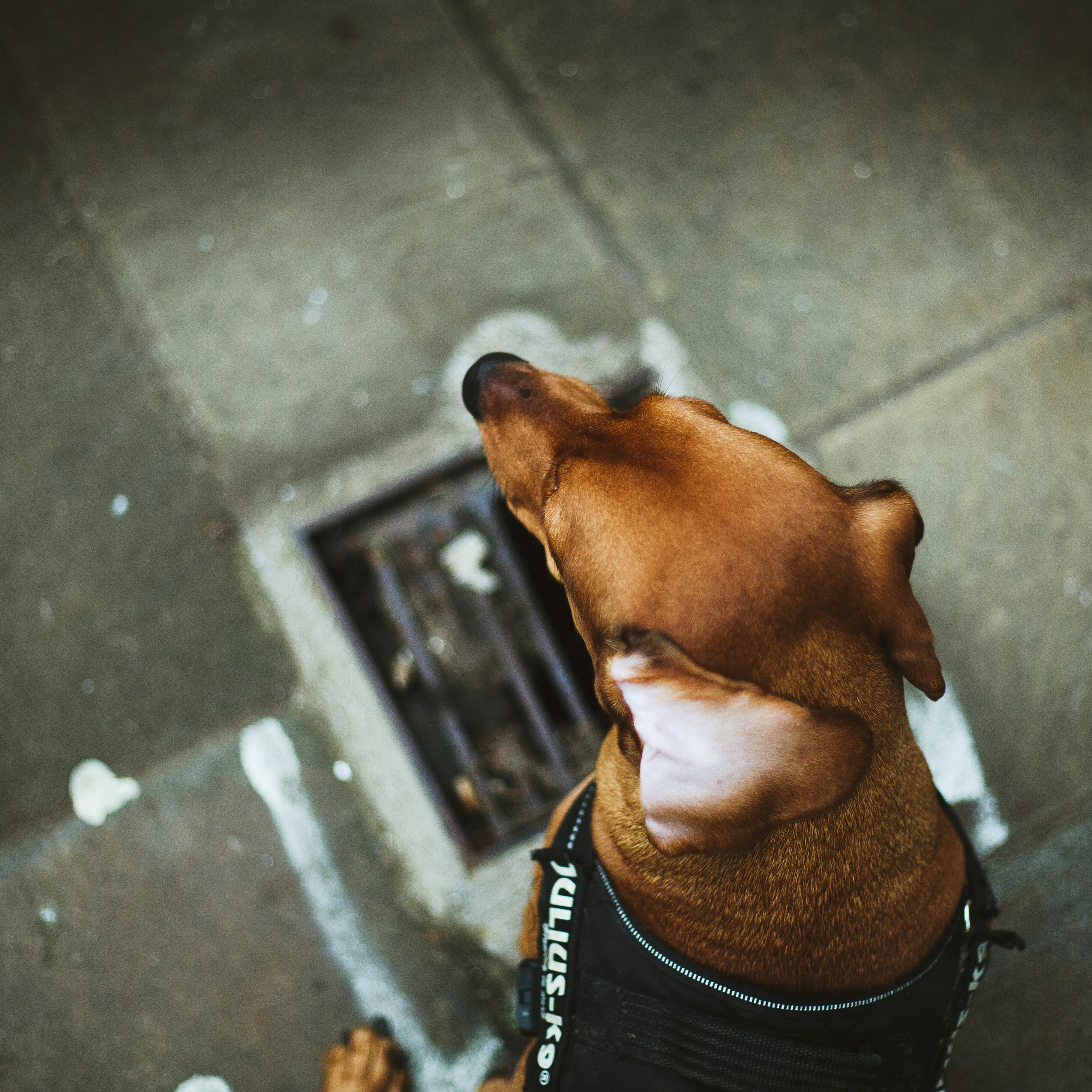 Photo by ethansexton