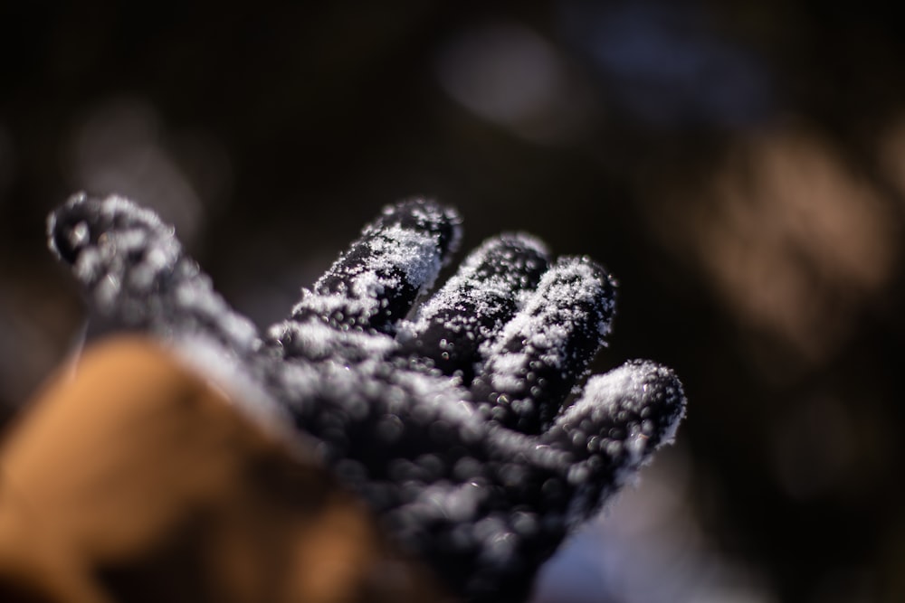 black and white rope in close up photography