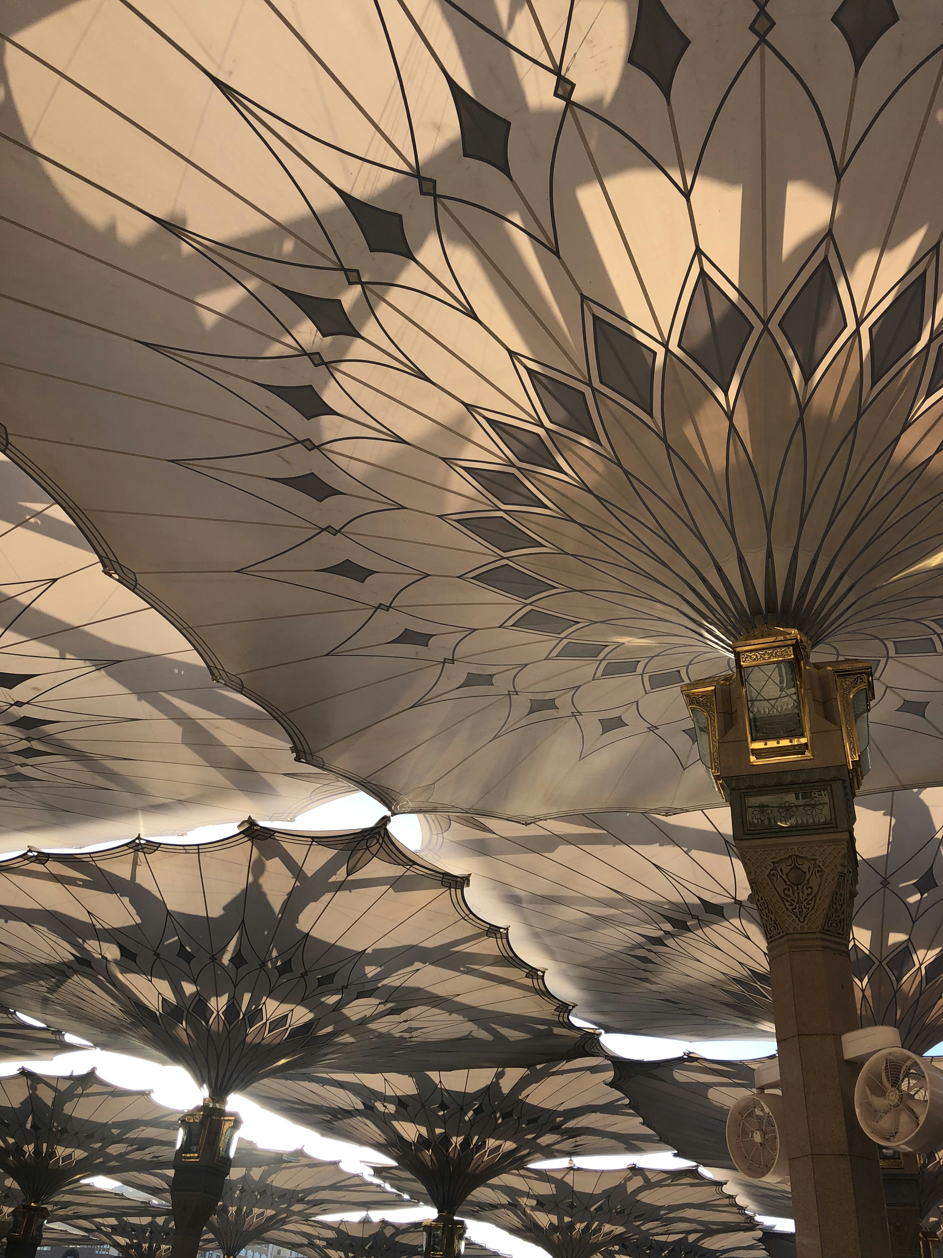Transforming Abu Dhabi Outdoor Spaces with Custom Tent and Shade Solutions