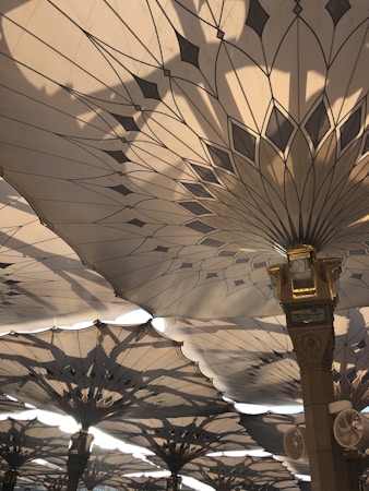 Understanding the Importance of Shade Structures
