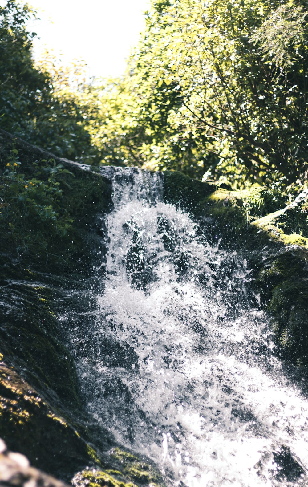 waterfalls at daytime