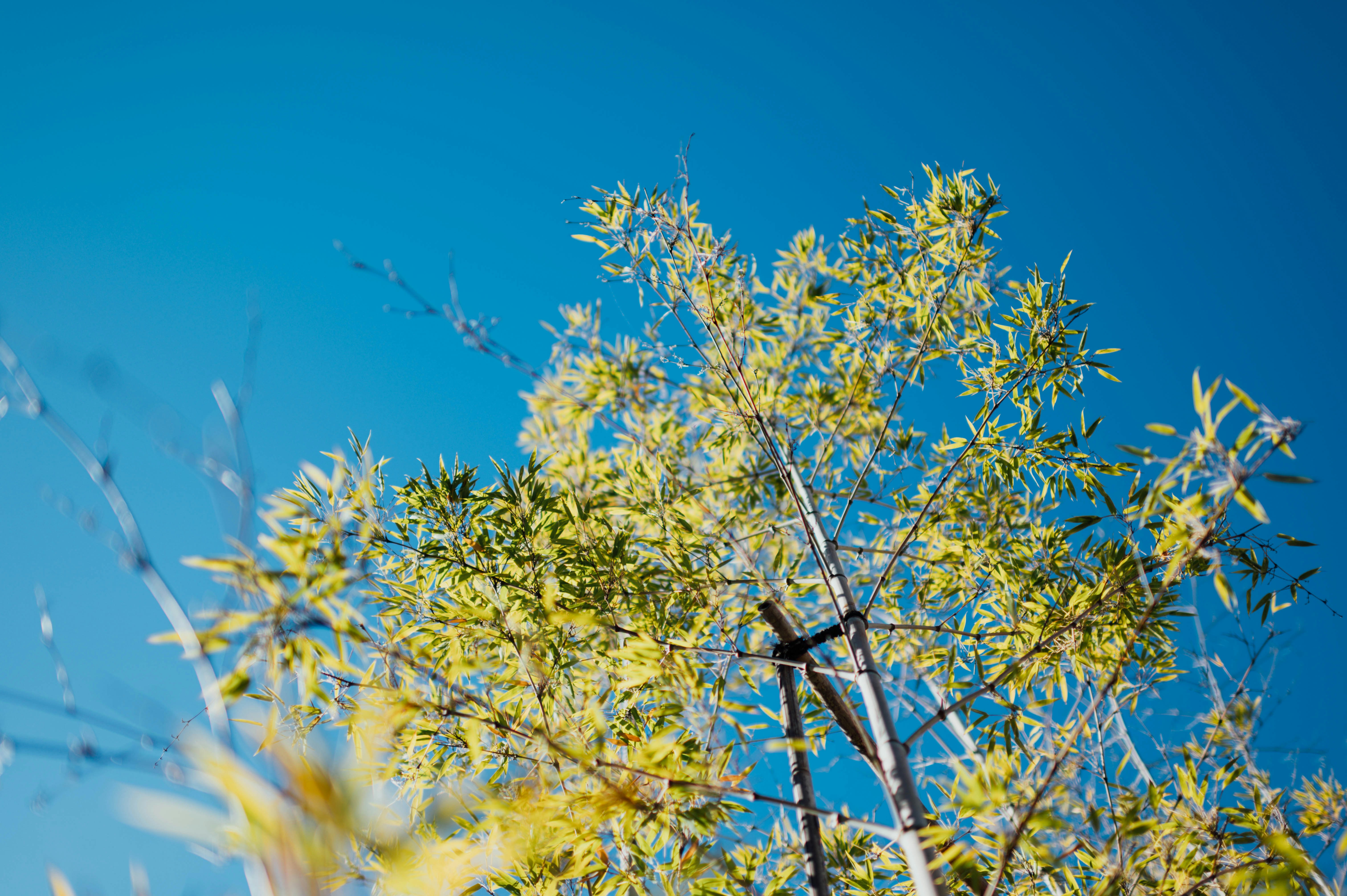 Photo by chuttersnap