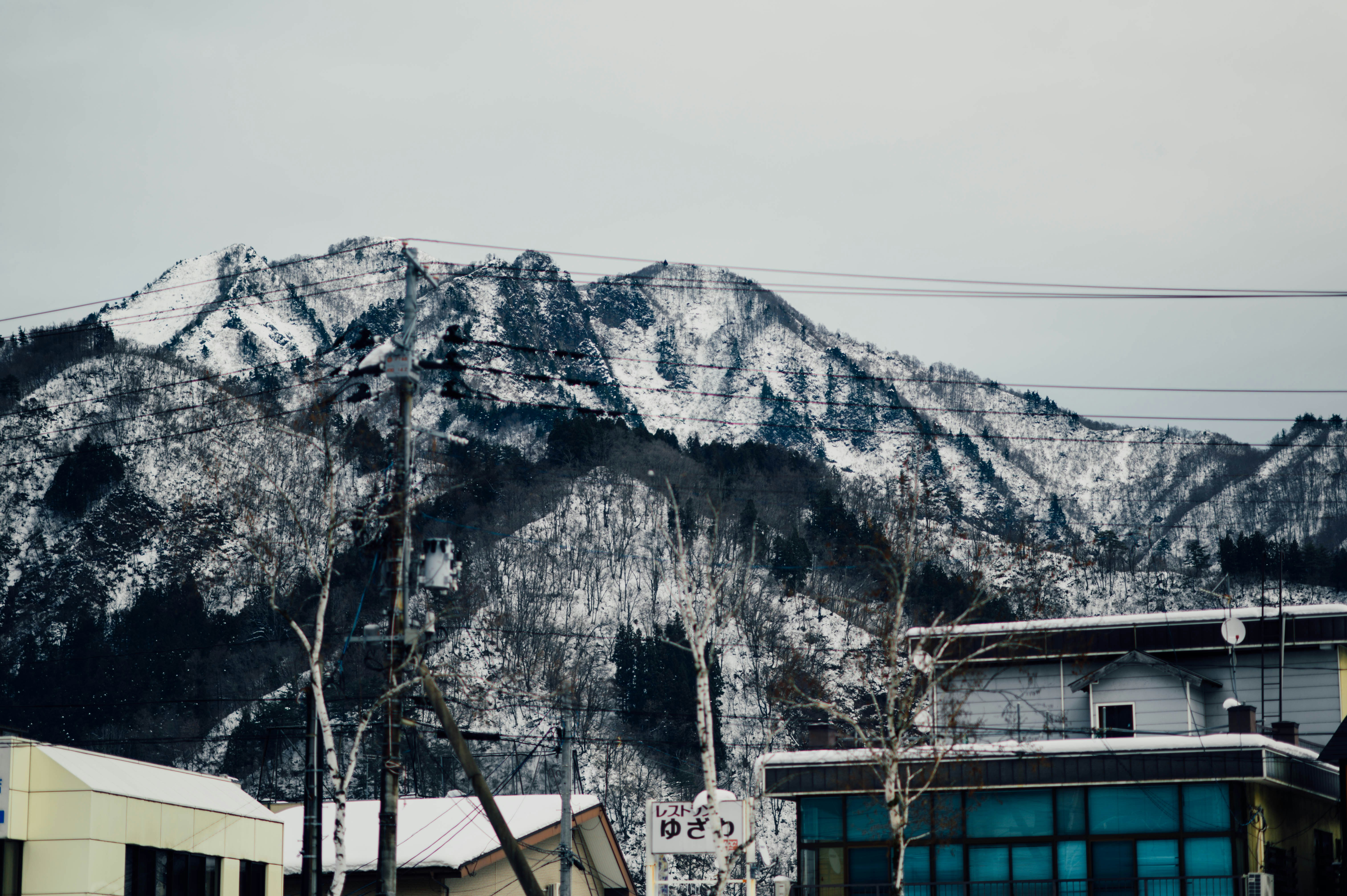 Photo by chuttersnap