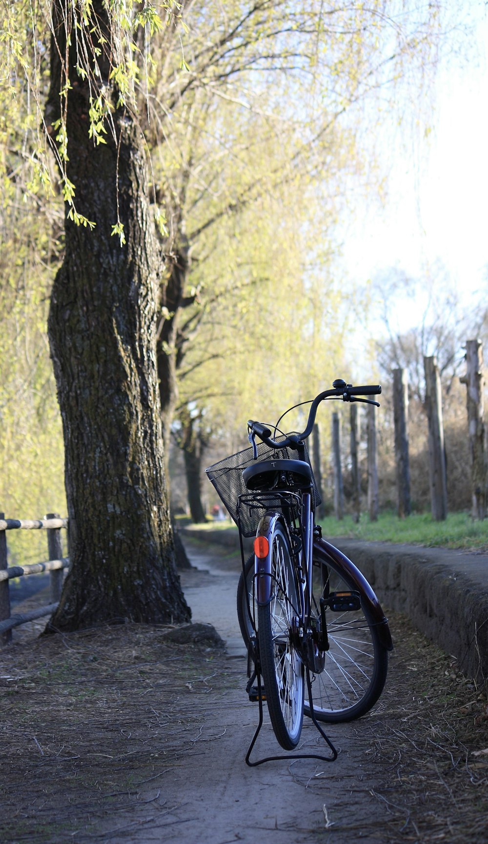 blue bicycle under tree during daytime