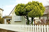 A neatly trimmed coniferous tree stands in the foreground next to a small house with light green siding and multiple white framed windows. A white picket fence runs parallel to the house, and there's a small shed visible on the left side. The roof of the house is covered with brown shingles and a wooden railing with laundry can be seen in the background.